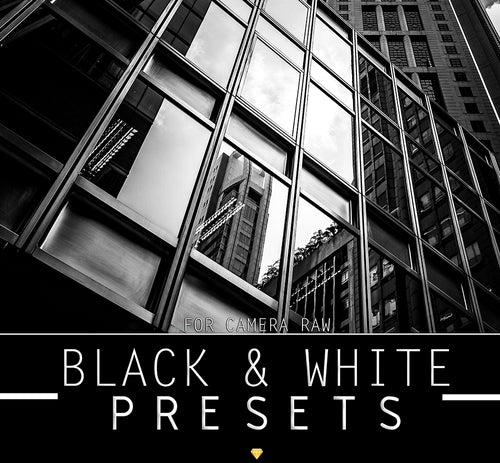 BLACK & WHITE ♢ CAMERA RAW PRESETS