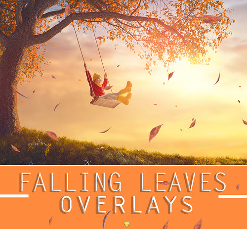 FALLING LEAVES ♢ OVERLAYS