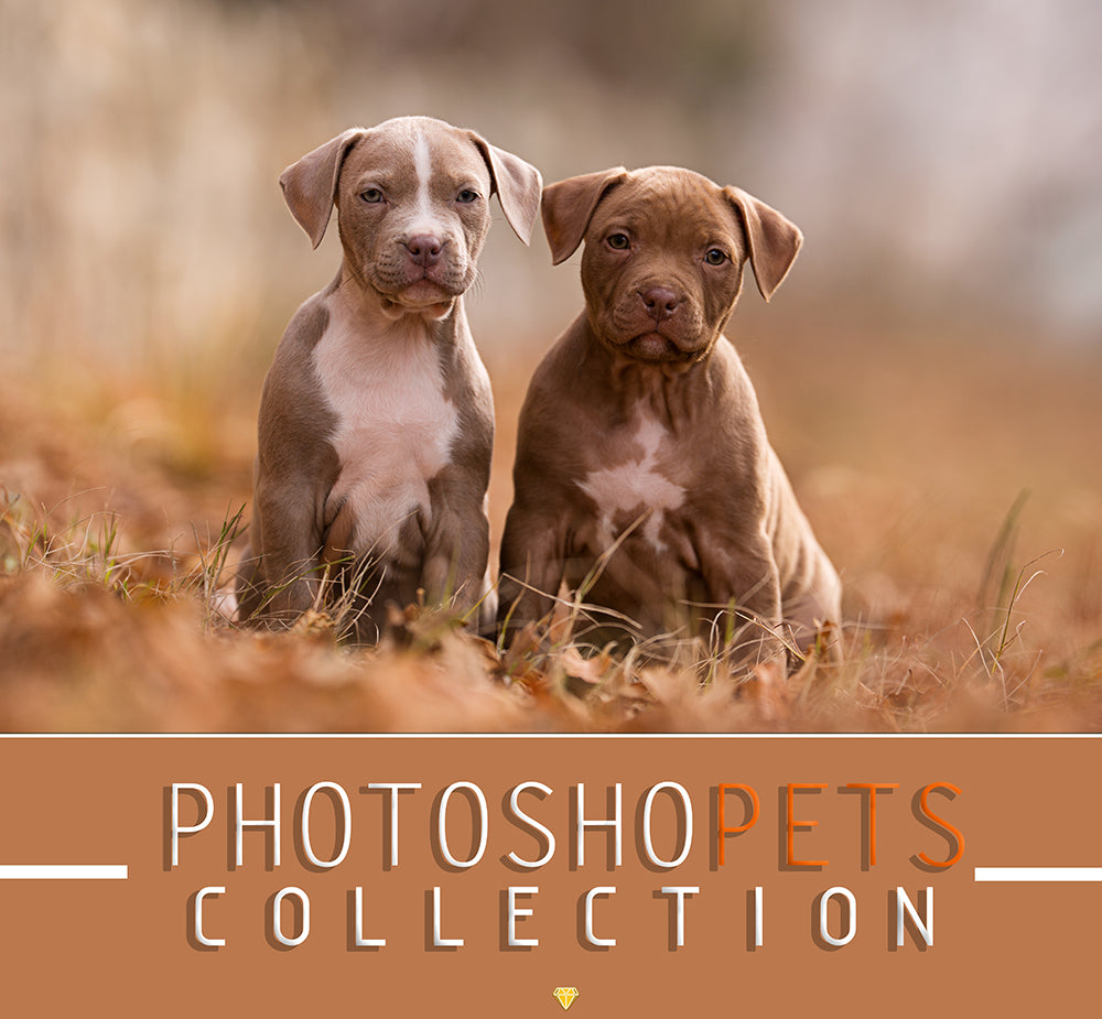 PHOTOSHOPETS ♢ COLLECTION