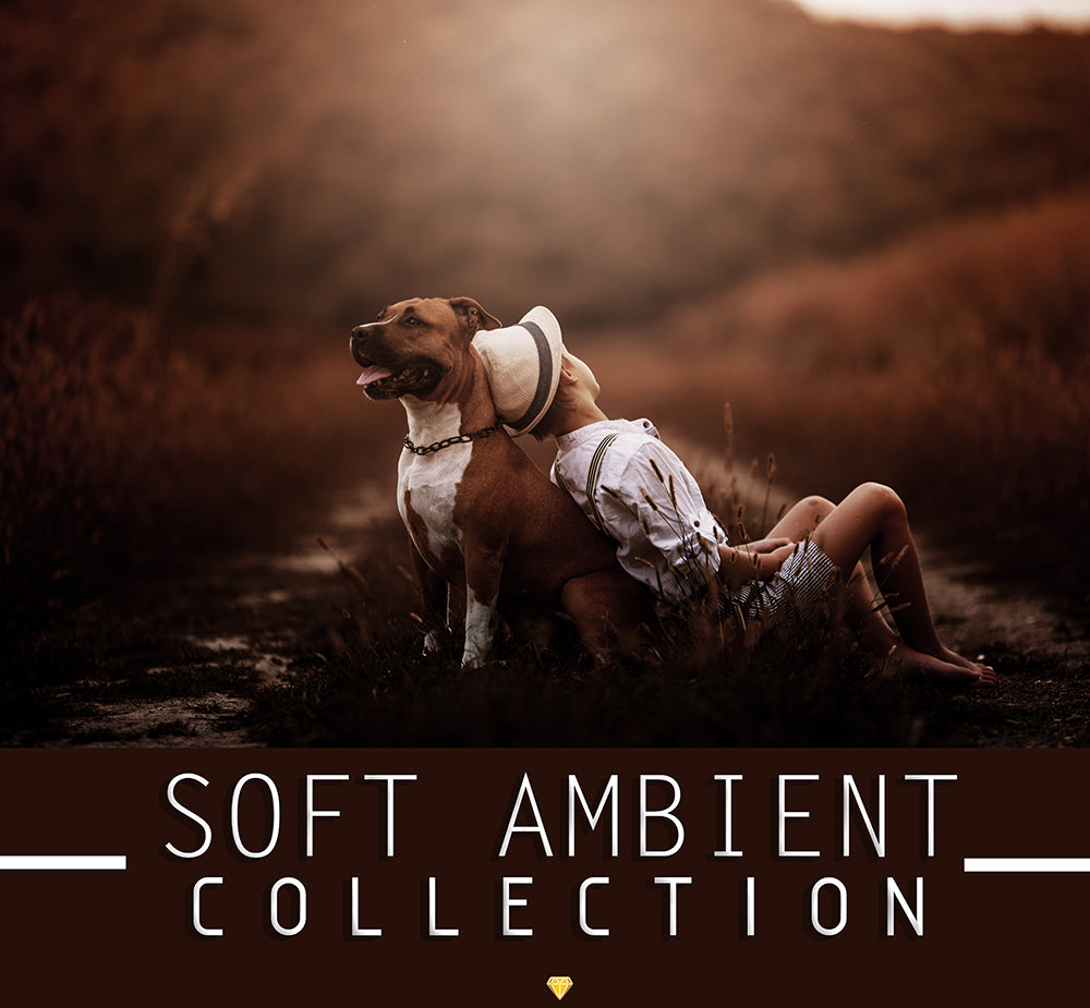 SOFT AMBIENT ♢ COLLECTION
